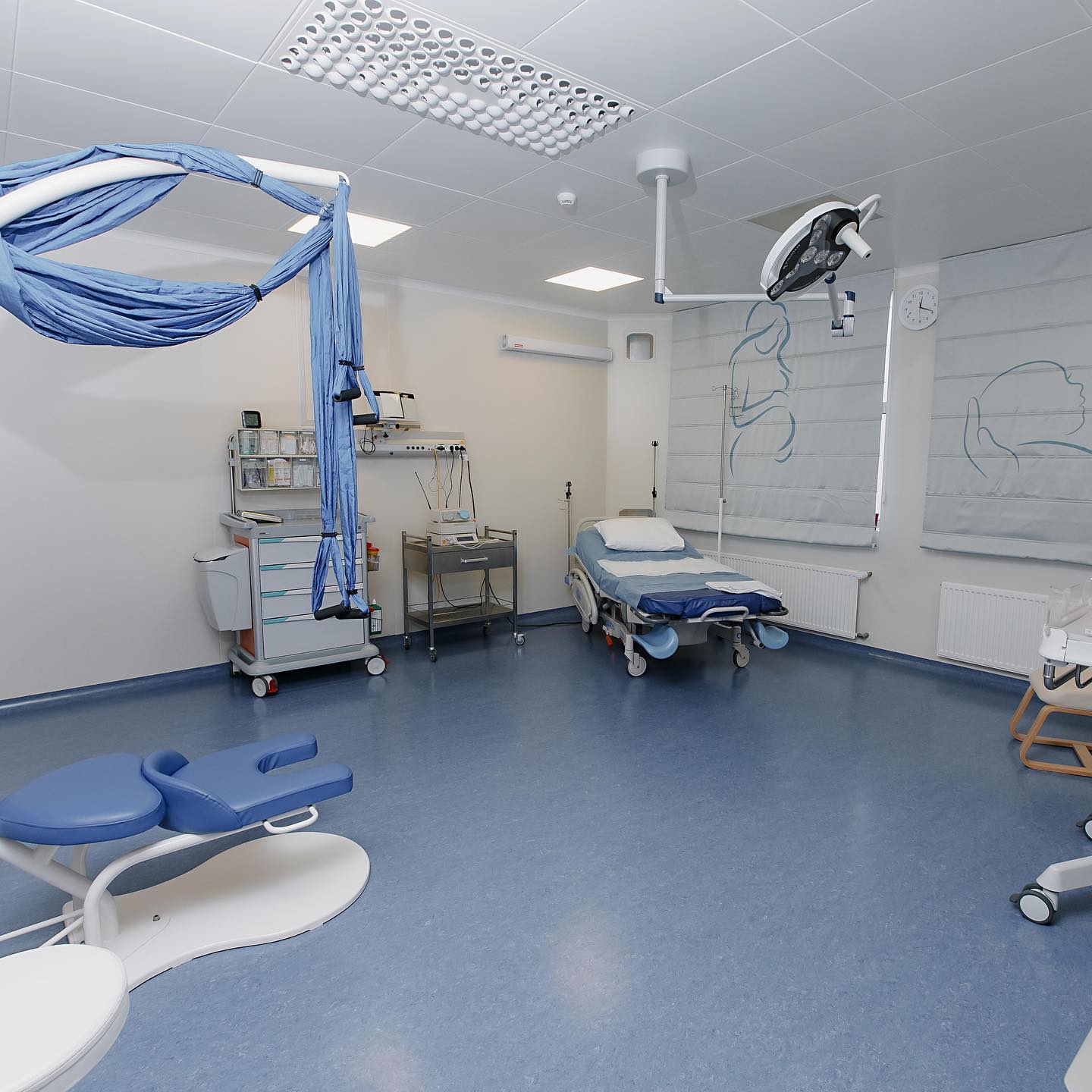 Пологовий будинок Лелека