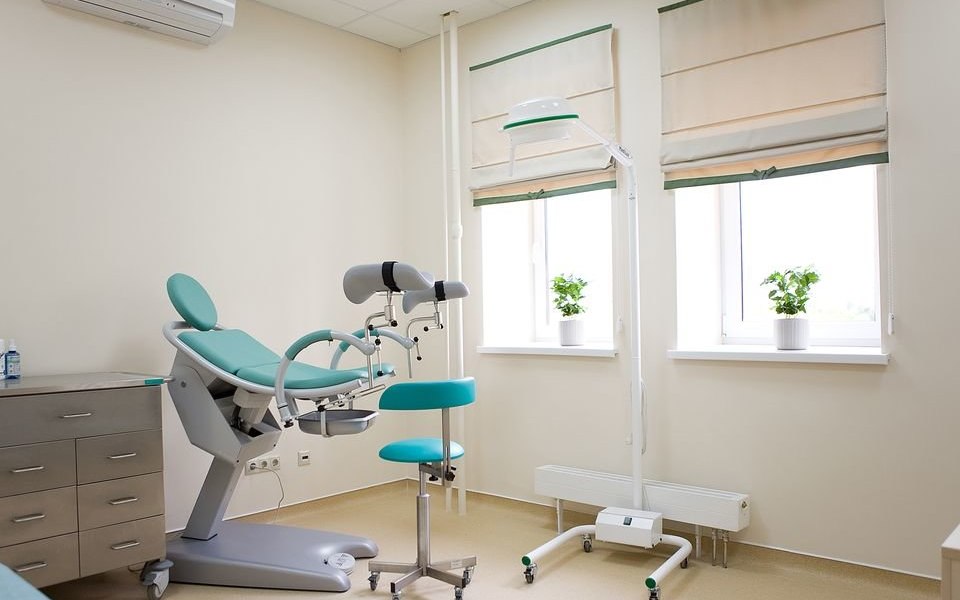 Пологовий будинок Ісіда