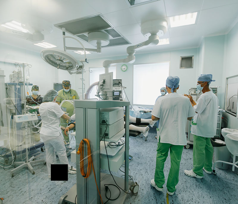 Пологовий будинок Лелека